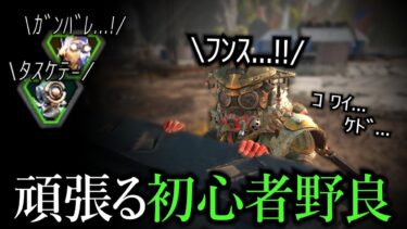 「怖いけど味方を助けたい初心者野良」が可愛すぎる【APEX】