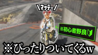 ずっと必死な初心者の野良ライフラが可愛すぎるw【APEX】