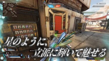 TDMにチーターだとッ!?ならば〇〇撃ちだよなァーーーー!!!!!【APEX LEGENDS/Vtuber】