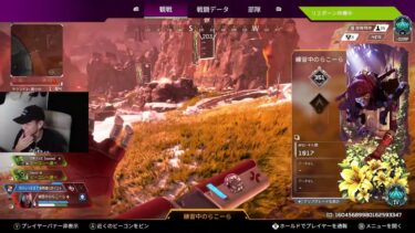 【APEX LEGENDS】13歳にキャリーしてもらう配信