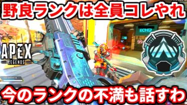 今の野良ランクで全員がやるべき事について話す！ランクの不満についても本音で色々話すわ！【APEX LEGENDS立ち回り解説】