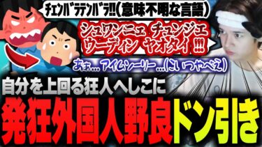 味方のチーターに気付かず、圧倒的な強さに大喜びしてしまうへしこ【RIDDLE ORDER/Apex/へしこ】