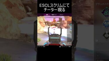 ESCLスクリムにてチーター現る#apex