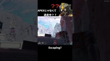 【APEX LEGENDS／女性実況】APEXじゃなくて逃走中？　Escaping?　#shorts