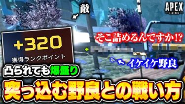 突っ込む野良と一緒に爆盛りする方法、教えます。シーズン21ランクで爆盛りするための撃ち合い方や立ち回りを解説！【APEX LEGENDS】