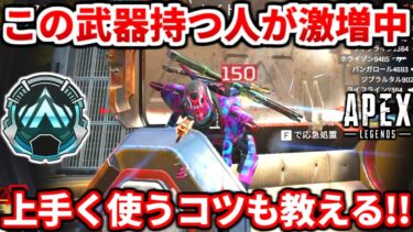 今この武器構成がアツい！強い使い方やメリット教える！プラチナランクで盛るコツも話すよ！【APEX LEGENDS立ち回り解説】