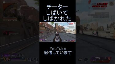 チーターしばいてしばかれた【Apex Legends】