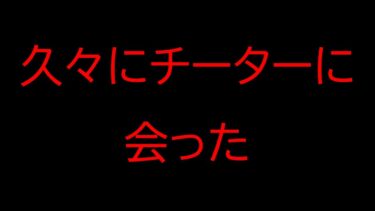 【APEX】久しぶりに生のチーターに会う