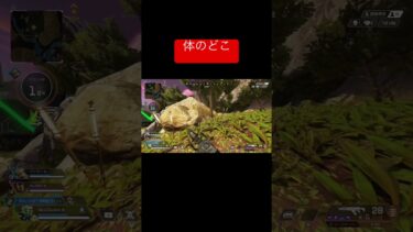 【APEX】身体のどこ拡張マガジン？#apex #ゲーム実況 #エーペックスレジェンズ