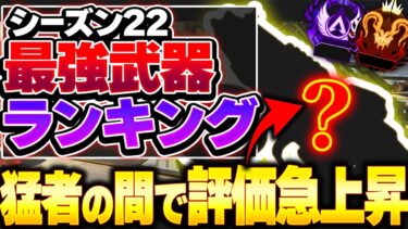 【Tier表】まだバレてないけど、この武器実は強者が良く使ってます！ シーズン22最強武器Tierランキング！ APEX エーペックスレジェンズ】