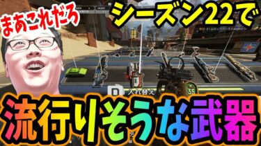 【APEX】アプデ初日に色々検証し流行りそうな武器を決めるshomaru7【エーペックスレジェンズ/APEX LEGENDS】