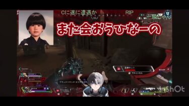 【apex 】kamitoチーターに出会った集【切り抜き】