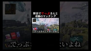 「またね」の言葉選びが素敵すぎる…#apex #apexlegends #配信切り抜き #ゲーム実況 #shorts