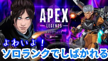 【APEX】しばかれてみる