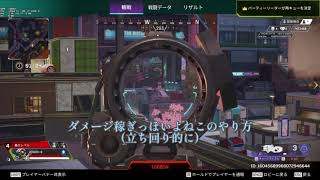 チーターを観戦してたら…www 【APEX】