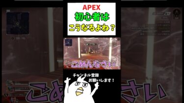 【APEX初心者あるある】初心者はこうなるよね？#ゲーム実況 #ゲーム女子 #初心者apex #配信切り抜き