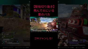 【配信切り抜き】飛んで火にいる夏のバカ #apex #apexlegends #エーペックス #エーペックスレジェンズ #エーペックスレジェンド