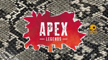 がらがら蛇のAPEX　リアルシルバー帯