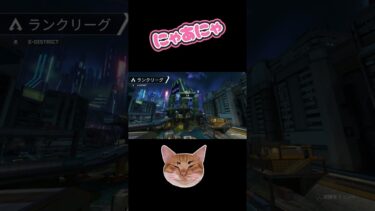 うちの猫の声が入る #apexlegends #apex女性配信者 #apex #エーペックス #ねこ #shorts