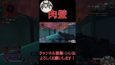 肉壁で勝利ｗｗｗ #153cmaim #apex #ゲーム実況 #ゲーム配信 #切り抜き #twitch #shorts