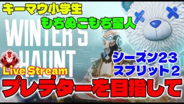 [PC版APEX]S23 SP2 #3  夕方配信 めざせ開幕プレデター ! 11歳キーマウ小学生 Apex Legends Season 23 Winter’s Haunt SP2