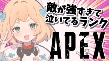 【Apex】 今日のカスタムに向けてまったりランク！【Vtuber】