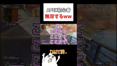 APEX初心者無双したwww#初心者apex #配信切り抜き #ゲーム実況