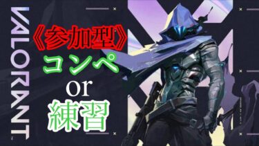 【VALO】参加型！昼休み配信！夜はAPEXランク