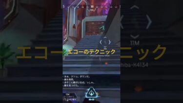 #apex ヴァンテエコーテクニック