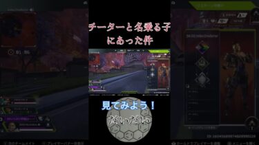 チーターと名乗る子にあった！！(APEX)