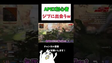 APEX初心者がジブラルタルに出会うw www  #初心者apex #配信切り抜き #apex女性配信者