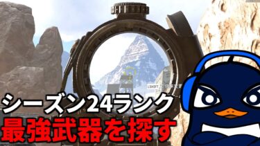 シーズン24ランク！Lスター弱体化すべきだろ | TIE Ru Gian ゆきぶやー  |  Apex Legends