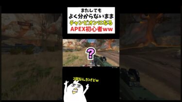 チャンピオンになるAPEX初心者www  #初心者apex #ゲーム実況 #ゲーム女子 #配信切り抜き