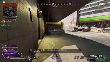 APEX 垂れ流し配信