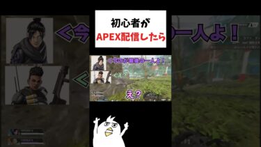 初心者がAPEX配信したww  #ゲーム実況 #初心者apex #ゲーム女子