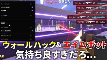 【新作FPS】全員がチート使いたい放題のヤバいゲーム登場ｗｗ ウォールハック エイムボットきもちえぇぇぇ | Cheaters Cheetah