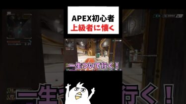 APEX初心者が上級者に懐くww#初心者apex #配信切り抜き